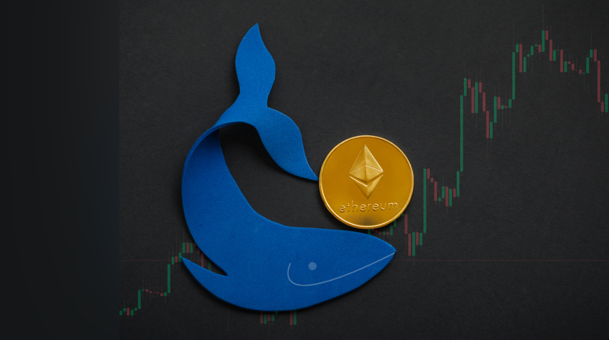 Whale's $20M Ethereum Bet