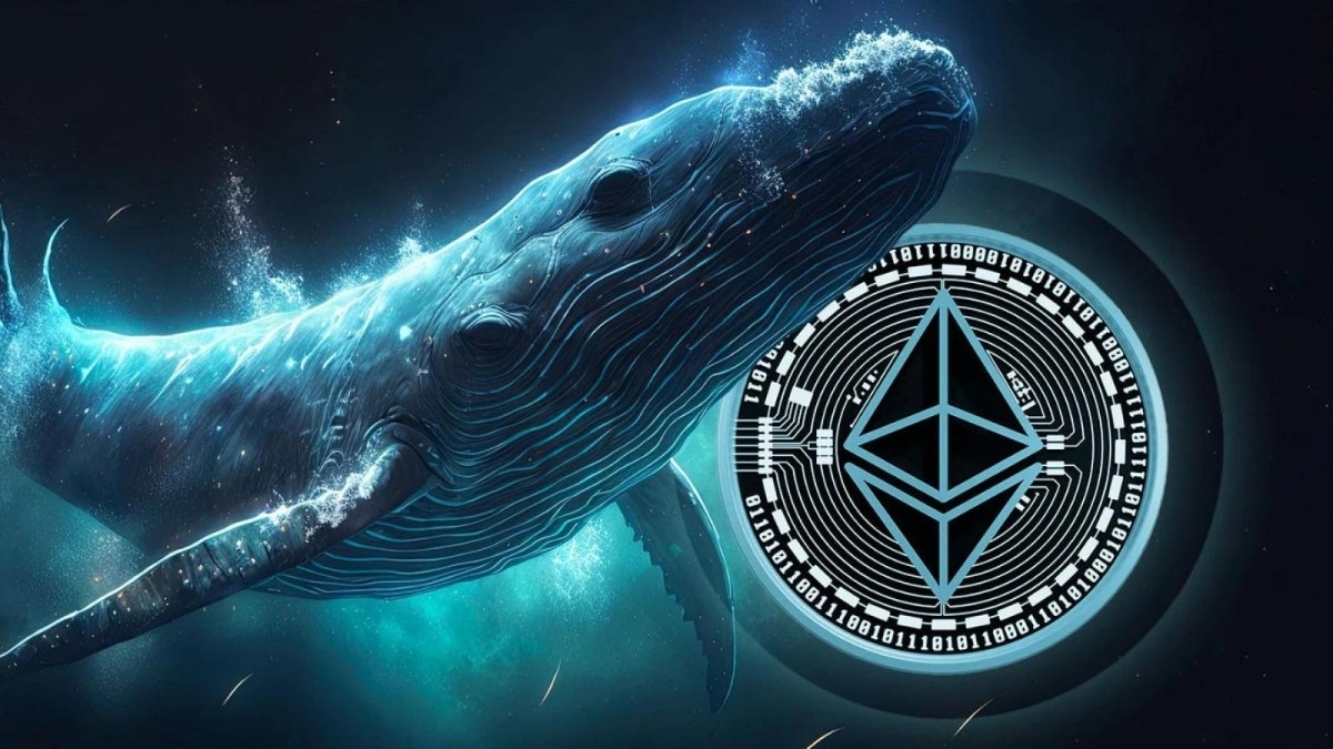 Ethereum Price Whales and Upgrades Drive Rally Potential