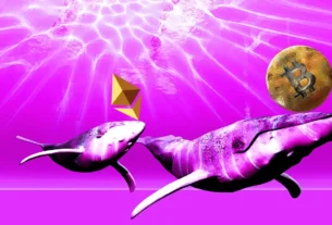 Ethereum Whales Accumulate $1B ETH Is $4,000 Next for