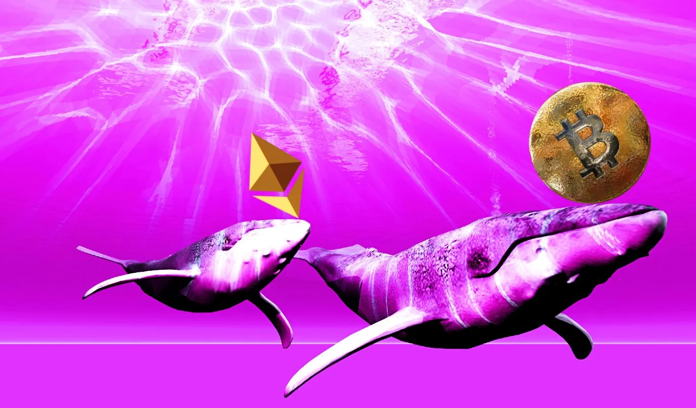 Ethereum Whales Accumulate $1B ETH Is $4,000 Next for