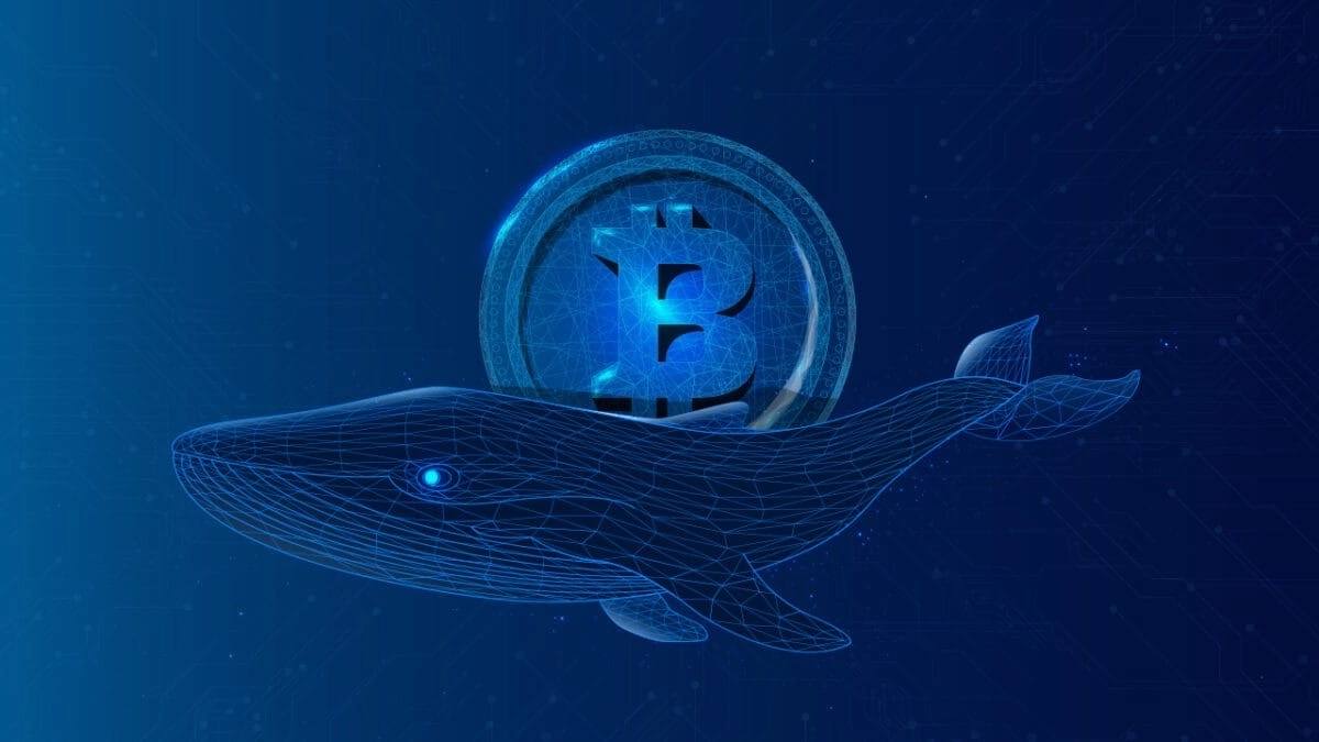 Whales Boost Ethereum oo