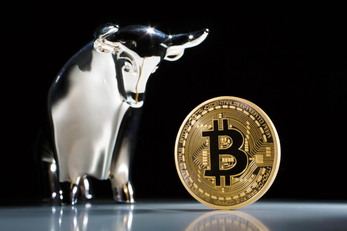 Bitcoin's 30% Corrections Bull Market Trend