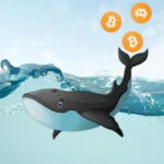 Whales Capitalize on Bitcoin Drop Strategic Ethereum Purchases
