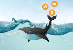 Whales Capitalize on Bitcoin Drop Strategic Ethereum Purchases