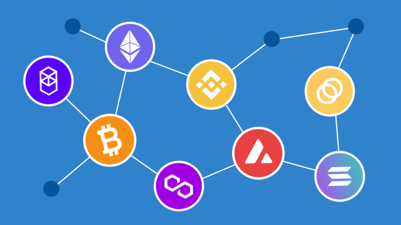 On-Chain Activity and Network Expansion