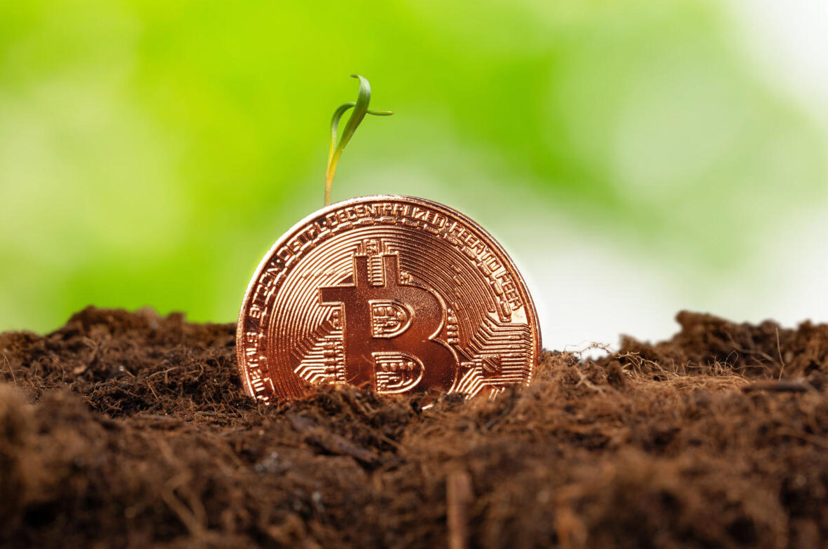 Institutional Adoption of Bitcoin