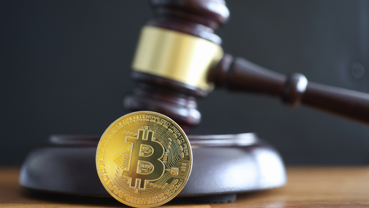 Institutional Influence and Regulation