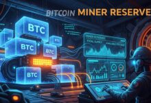 Bitcoin Miner Reserves