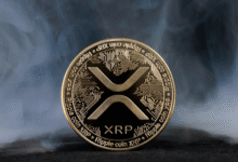 XRP Jump