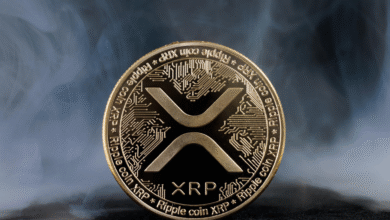 XRP Jump