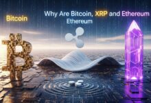 Why Are Bitcoin, XRP, and Ethereum