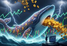Bitcoin Whales Are Buying